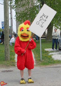 chicken.jpg