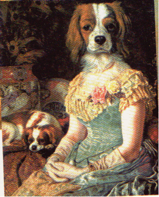 dogportrait.gif
