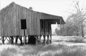 oldhouse.jpg