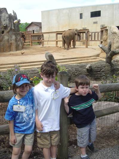 zoobuds.jpg