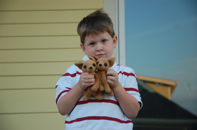 olliedog.jpg